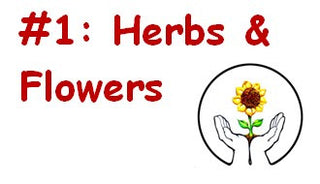 Herbs and Flowers Kit - Seeds for Schools