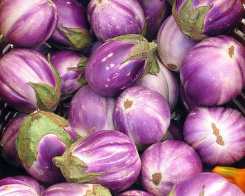 rosa bianca eggplant seeds Rosa Bianca Eggplant