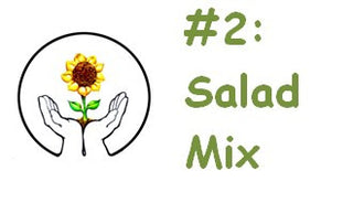 Spring Salads Kit - Seeds for Schools