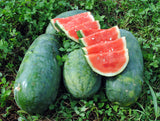55110 - Strawberry Watermelon